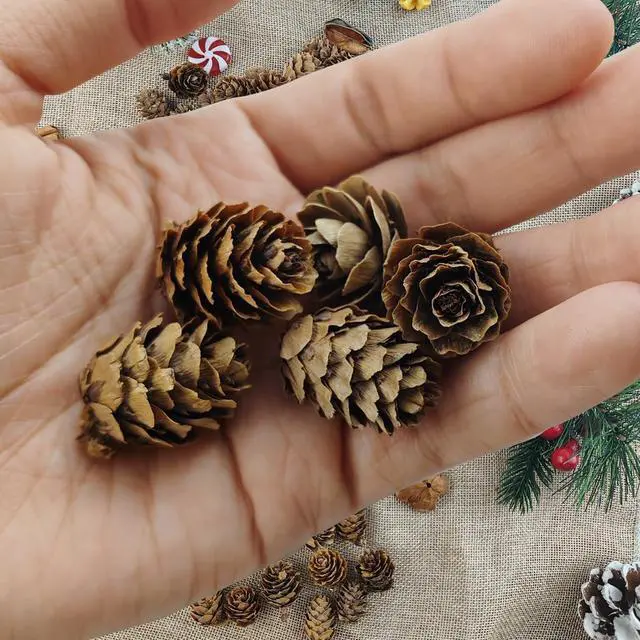 Alt view image 3 of 5 - TIHOOD 160PCS 1.18"-1.97" Christmas Natural Mini Pine Cones-Thanksgiving Pine Cones Ornaments for DIY Crafts, Home Decorations,Fall and Christmas,Wedding Decor