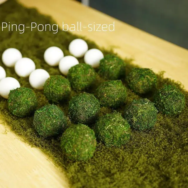 Alt view image 3 of 7 - BYHER Natural Green Moss Decorative Ball,Handmade (2"-Set of 12)