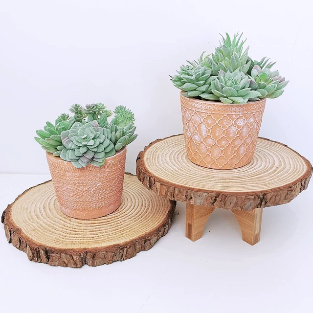 Alt view image 4 of 7 - Supla 11 Pcs Mini Artificial Succulents Picks Unpotted Faux Succulent Assortment in Flocked Green in Different Type Different Size Succulents Echeveria Agave Floral Arrangement Mother Day' s Gift