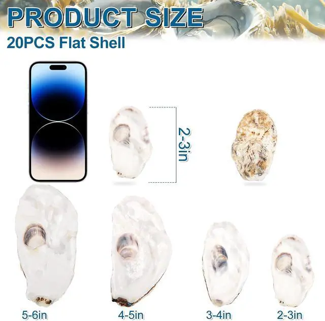 Alt view image 2 of 6 - QICQDRAM 20PCS Flat Oyster Shells for Crafts 2-3" Small Natural Seashells
