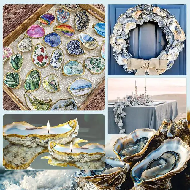 Alt view image 6 of 6 - QICQDRAM 20PCS Flat Oyster Shells for Crafts 2-3" Small Natural Seashells