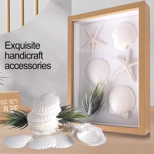 Alt view image 2 of 6 - PPCLION 30 PCS 2.5-3 Inch Natural White Scallop Shells Sea Shells for DIY Craft Home Décor