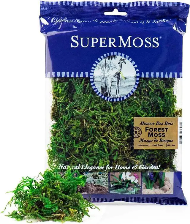 Main image of SuperMoss (25320) Forest Moss Preserved, Fresh Green, 2oz
