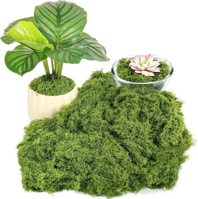 Main image of Fake Green Moss for Plants Indoor, 5.3OZ Artificial Moss (Dark Green)