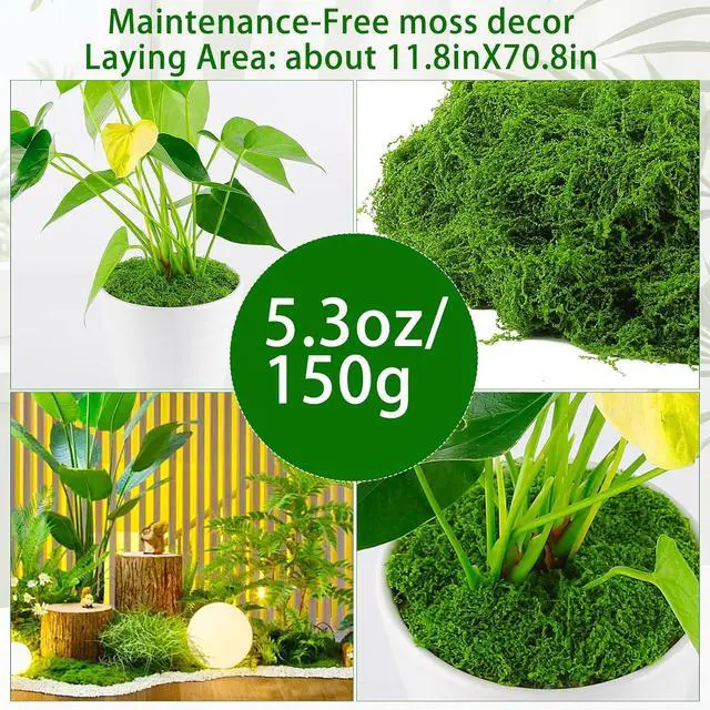 Alt view image 3 of 6 - Yomirduy Artificial Moss for Crafts, 5.3OZ Fake Green Moss for Potted Plants, Faux Moss Decor for DIY Decorative, Walls,Table Centerpieces Decor Fairy Garden Model Making (150g)