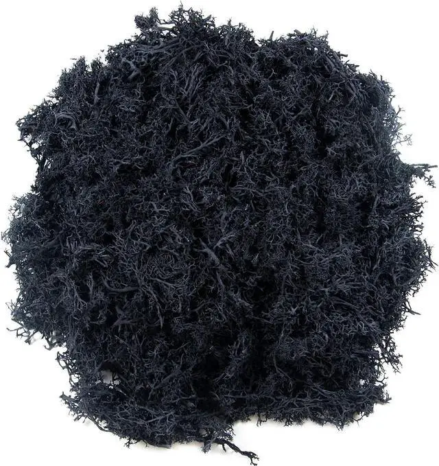 Main image of 3.5oz Fake Black Moss for Crafts