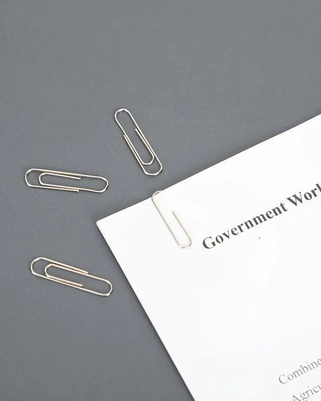Alt view image 6 of 7 - PAPERPAL Paperclips for Office School & Personal Use, #1 Nonskid Paper Clip (1-2/7"), 600 Medium Paper Clips (6 Boxes of 100 Each), Silver