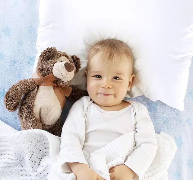 Alt view image 7 of 7 - Set of 2 Pillow Protectors with Zipper Toddler Size, Pillow Covers