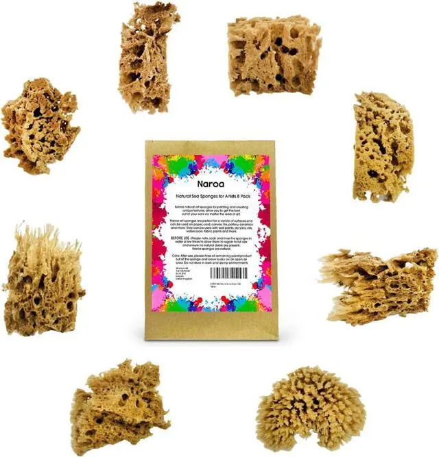 Main image of NAROA Artist Natural Sea Sponges for Painting 8 Pack | Unbleached Unique Art Tool Set | Suitable for Acrylic Watercolor, Marbling, Texturing, Pottery, Ceramics