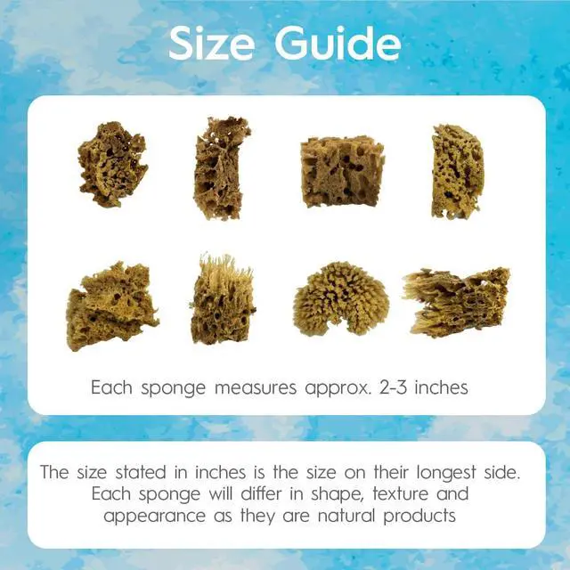 Alt view image 3 of 7 - NAROA Artist Natural Sea Sponges for Painting 8 Pack | Unbleached Unique Art Tool Set | Suitable for Acrylic Watercolor, Marbling, Texturing, Pottery, Ceramics