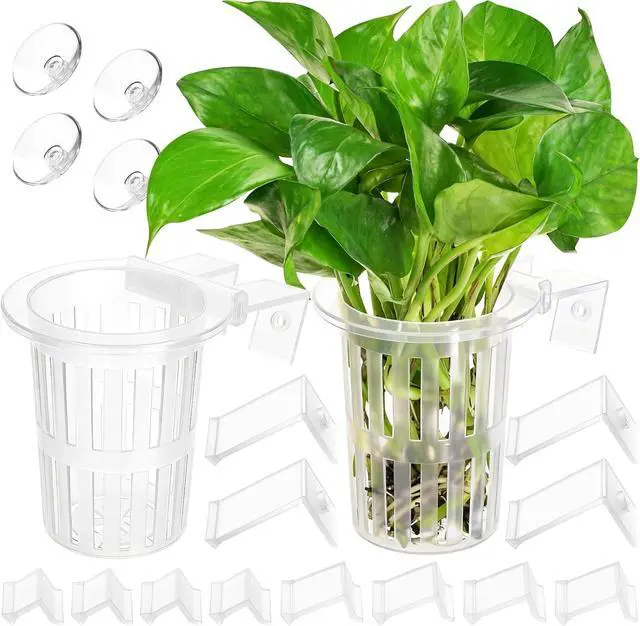 Alt view image 2 of 7 - New Upgraded Large Aquarium Plant Holder with 1.57-inch Extension Hooks and Suction Cups for Fish Tank Aquaponic Plant Cultivation and Aquascape Accessories Decorations (2 Pack) Transparent