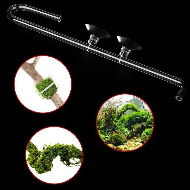 Alt view image 6 of 7 - Aquarium Suction Cups with Ties, Fish Tank Plant Holders