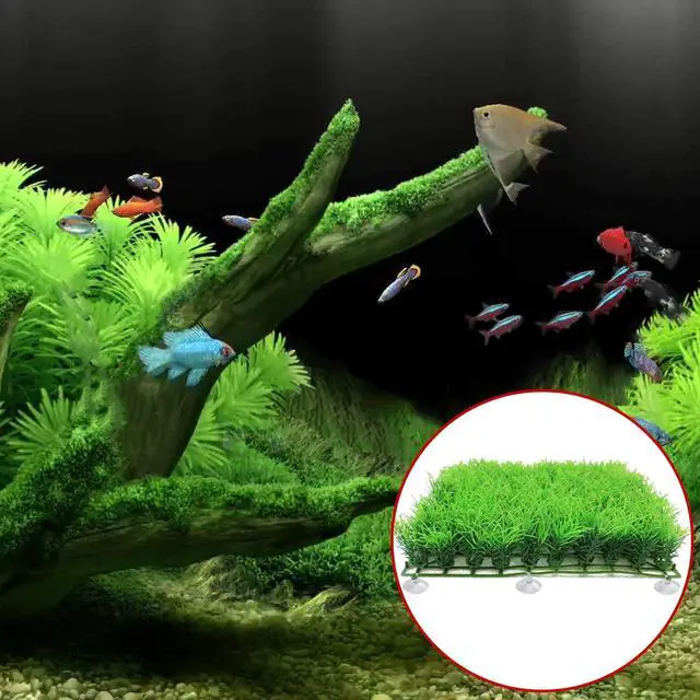 Alt view image 7 of 7 - Aquarium Suction Cups with Ties, Fish Tank Plant Holders