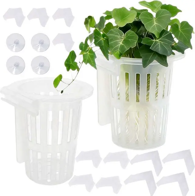 Main image of 2 Pack Aquarium Plant Holder for Fish Tank with Suction Cup & Ext Hook