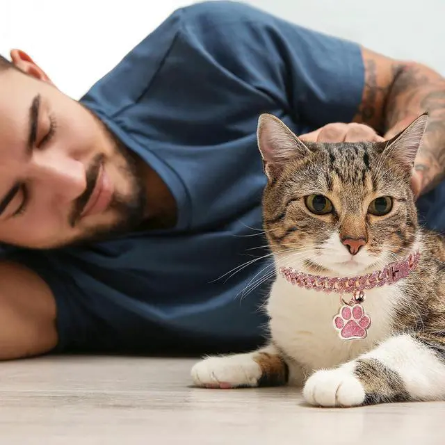 Alt view image 5 of 7 - Cat Collar Diamond Chain Glitter Collar Walking Metal with Secure Buckle Cat Pet Necklace with Paw Charm and ID Tag Bell Link Cuban Jewelry Accessories Gift(8 Inch,Rose Gold, Pink)