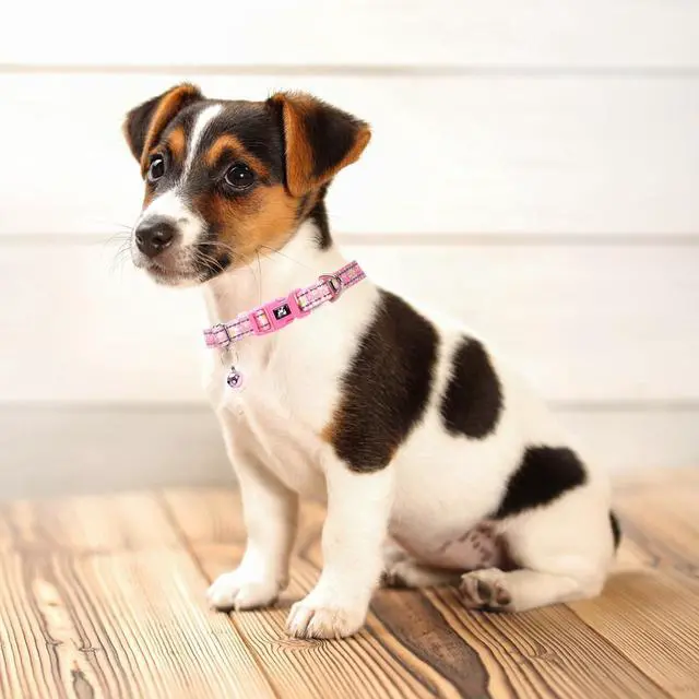 Alt view image 2 of 6 - Puppy Collar with Bell,Pink Reflective Dog Collar for Small Dogs(Daisy S) | dog collar with bell,Reflective, Reflective, Adjustable & Lightweight for XS & S Dogs,Comfortable & Safe for Everyday Use