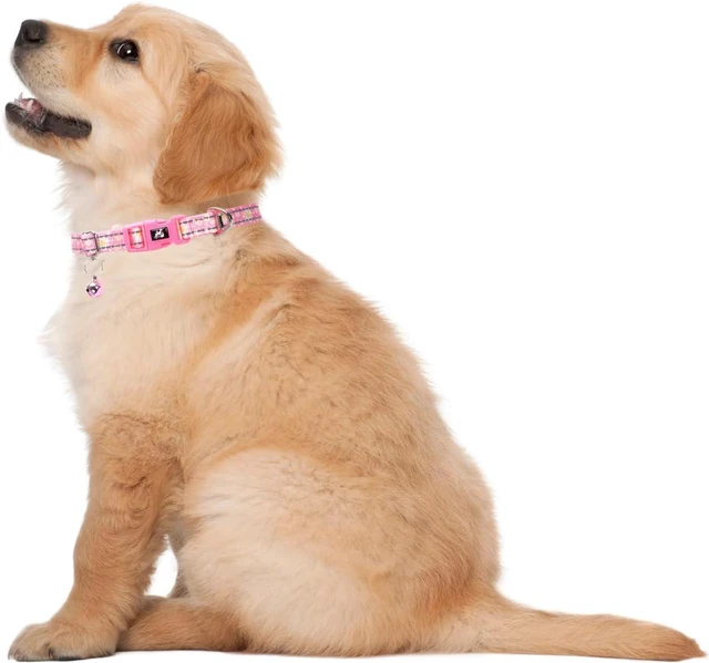 Alt view image 6 of 6 - Puppy Collar with Bell,Pink Reflective Dog Collar for Small Dogs(Daisy S) | dog collar with bell,Reflective, Reflective, Adjustable & Lightweight for XS & S Dogs,Comfortable & Safe for Everyday Use