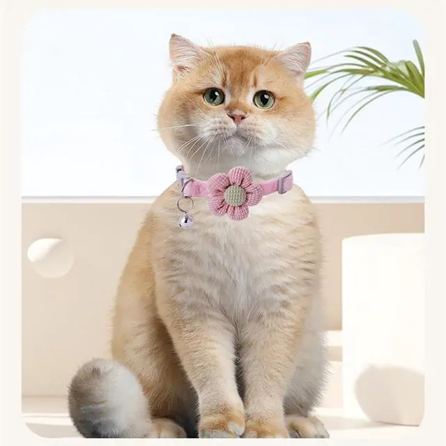 Alt view image 7 of 7 - XXS Dog Collar with Bell and Floral 2 Pack Girl Cat Collars Green Blue XS | Soft Suede Lightweight Cute for XSmall Extra Small Female Puppy Pet Little Kitten Yorkie Chihuahua X-Small
