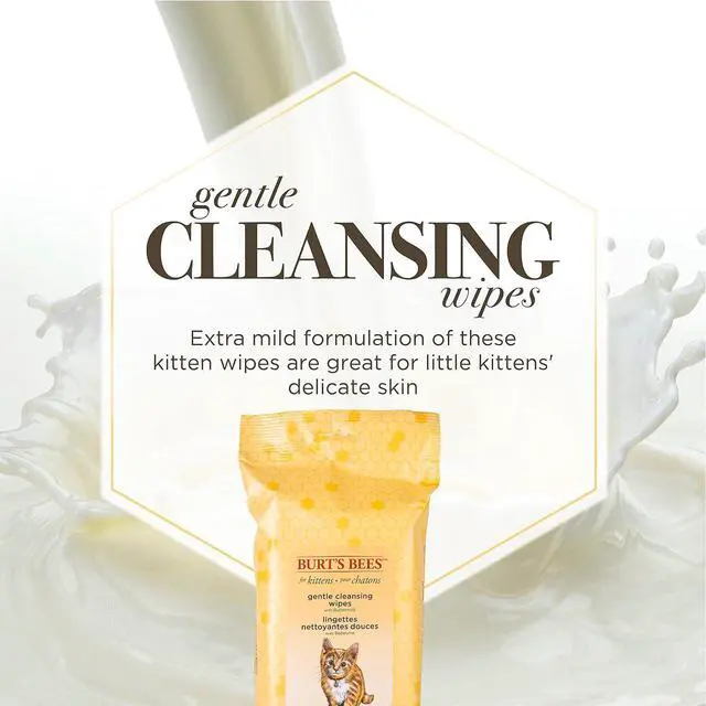 Alt view image 3 of 7 - Burts Bees for Pets Kitten Grooming Wipes with Buttermilk, 50 Count | Waterless bath wipes clean face, paws, tail, and coat, gentle alternative to bathing for indoor cats