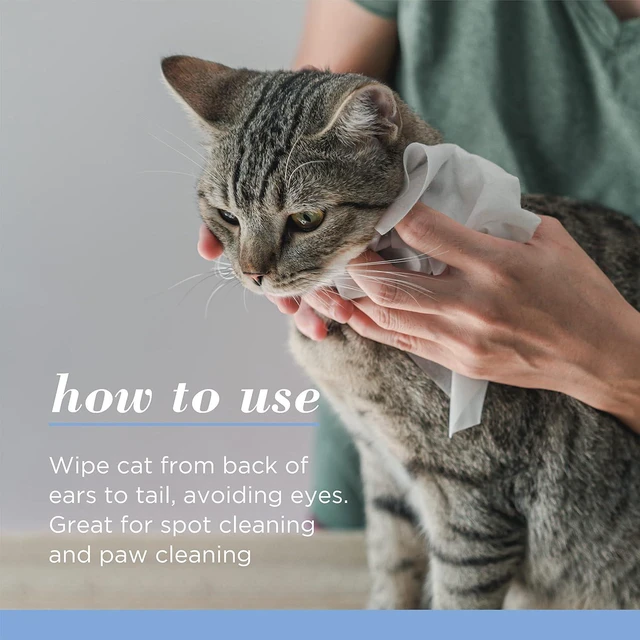Alt view image 5 of 7 - Burts Bees for Pets Kitten Grooming Wipes with Buttermilk, 50 Count | Waterless bath wipes clean face, paws, tail, and coat, gentle alternative to bathing for indoor cats