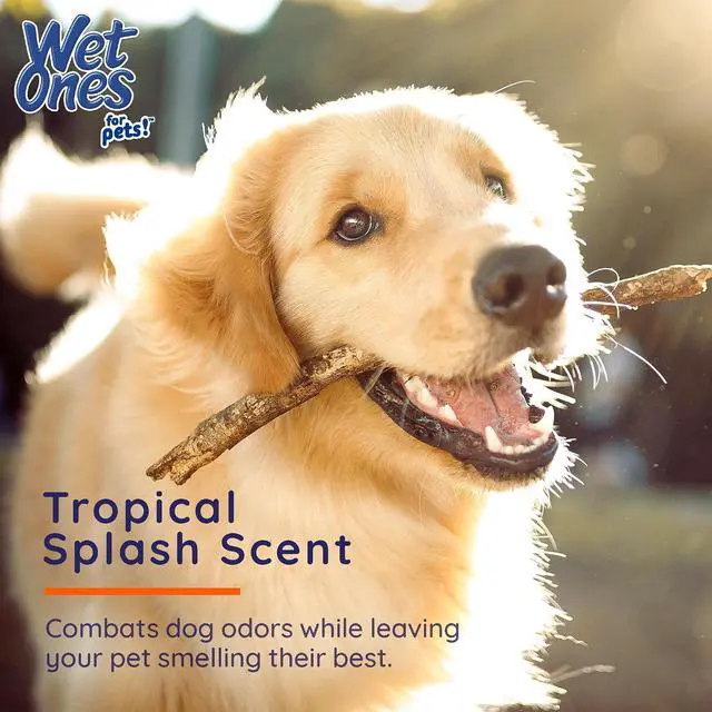 Alt view image 4 of 7 - for Pets Antibacterial Dog Paw Wipes, Tropical Splash, 50 Count | Kills 99.99% of germs, thick, durable, actibacterial disposable wipes for dog paws