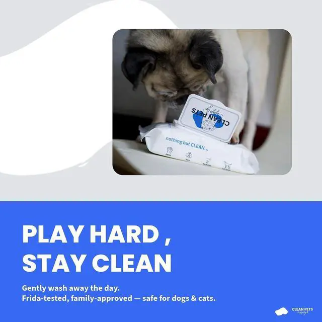 Alt view image 6 of 7 - Unscented Pet Wipes for Cats & Dogs Alcohol-Free, Hypoallergenic Grooming Wipes for Paws, Face & Body Sensitive Skin Formula, 80 Count | Unscented. Alcohol-free. Safe for cats & dogs.