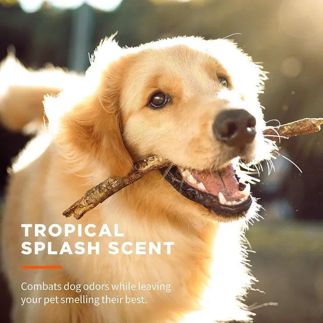 Alt view image 5 of 7 - for Pets Antibacterial Dog Wipes, Tropical Splash, 50 Count | Multi-purpose grooming wipes with aloe vera for paws, face, and body, easy cleanups between baths