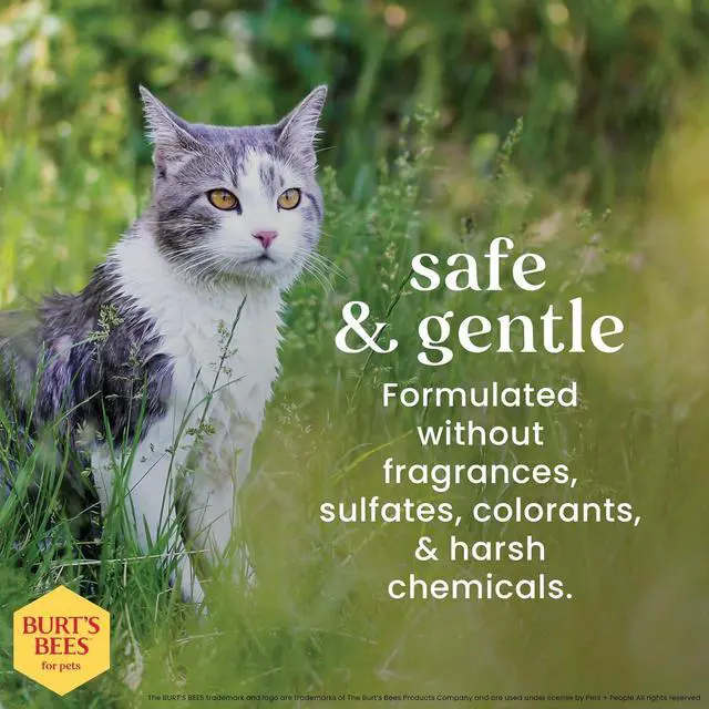 Alt view image 2 of 7 - Burts Bees for Pets Cat Dander Remover Wipes, Unscented, 50 Count | Colloidal oat flour and aloe soothe dry skin and reduce flaking, gentle grooming for cats and kittens
