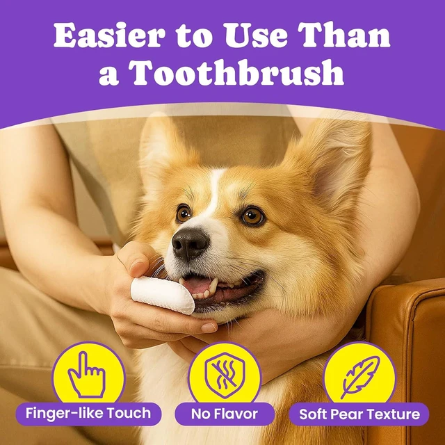 Alt view image 4 of 7 - No-Rinse Dog Dental Care Wipes, Cat & Dog tooth brushing kit, Dog Wipes for Pet & Cat Teeth Cleaning, Dog toothbrush Finger Dental Wipes to Remove Plaque & Tartar, Disposable Dog Wipes - 50 Count