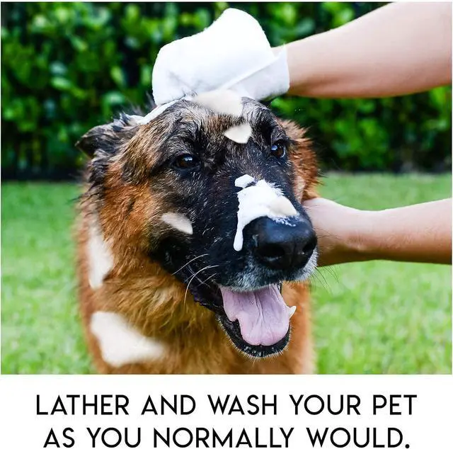 Alt view image 13 of 14 - ScrubbyPet No Rinse Pet Wipes- Use Pet Bathing, Pet Grooming Pet Washing, Simple to Use,Just Lather, Wipe, Dry. Excellent Sensitive Skin. The Ideal Pet Wipes Bathing Your Pet Dog Cat.