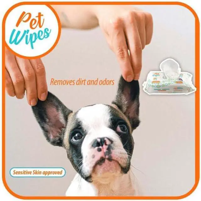 Alt view image 5 of 6 - pet Wipes for Dogs and Cats Hypoallergenic Natural Products for Cleansing from Nose to Tail 100 Count 8x7in Wipes Perfect for Grooming and Cleaning Made in the USA Fragance-Free