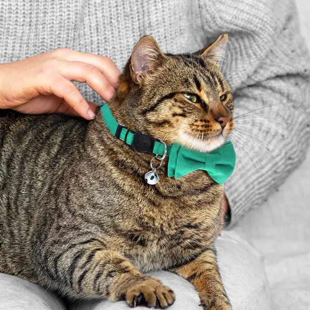 Alt view image 4 of 7 - 2 PCS Green Cat Collar with Bell, Breakaway Bowtie Cat Collar Safety Buckle Bowtie Collars for Cats, 8-12 Inch Adjustable Kitten Bow Collars for Girl Boy Cats, Dogs, Pets