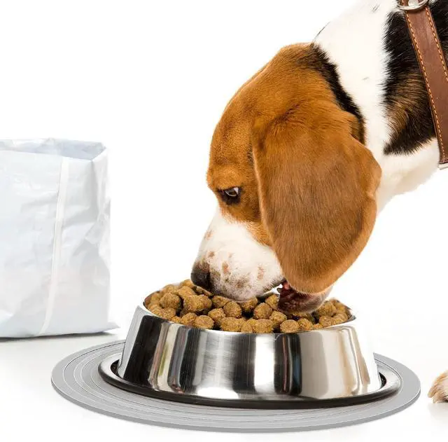 Alt view image 5 of 7 - 2 Pieces Silicone Pet Food Mat Pet Feeding Mat for Dog and Cat Food Bowl Placemat Preventing Food and Water Overflow Suitable for Medium and Small Pet, 9.5 x 9.5 Inch and 7.1 x 7.1 Inch (Gray)