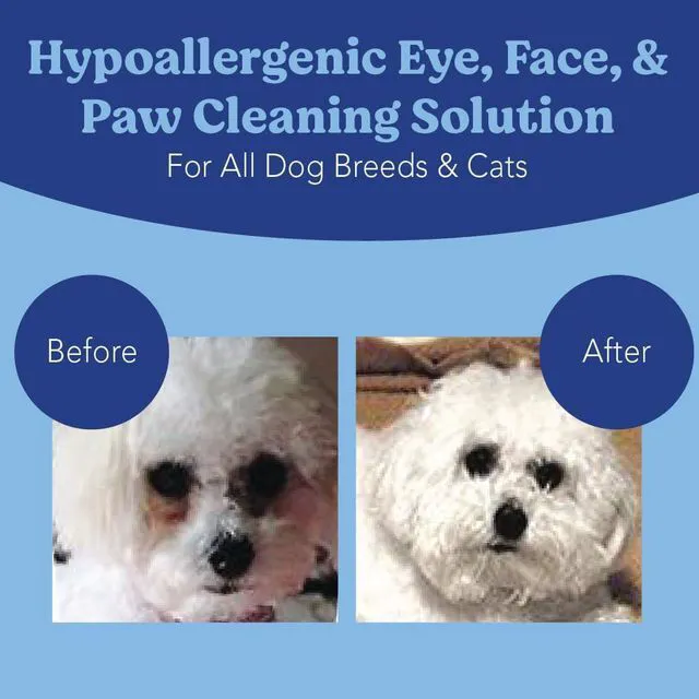 Alt view image 5 of 6 - Angels' Eyes Tear Stain Wipes for Dogs & Cats | Large 4"x7" Face, Eye & Paw Cleansing Wipes | Aloe Vera & Chamomile | Removes Dirt & Discharge | Fragrance Free | Hypoallergenic | 40 Count
