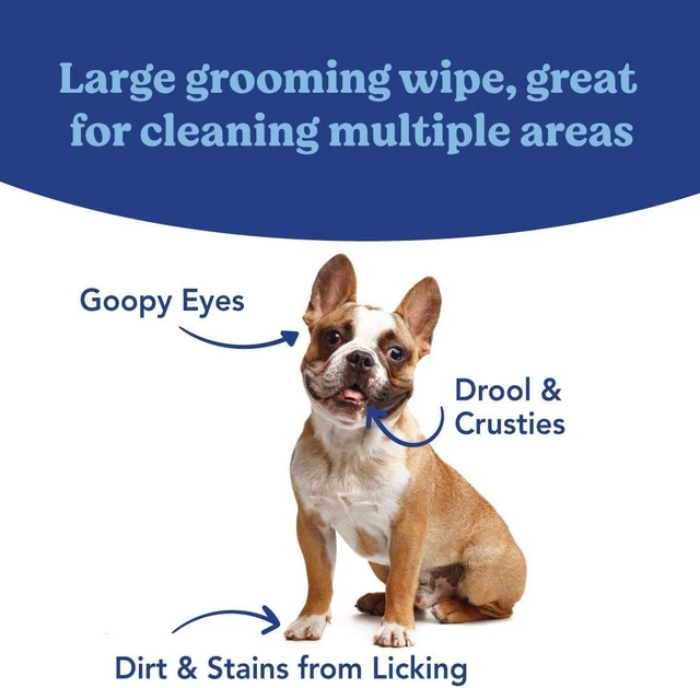 Alt view image 6 of 6 - Angels' Eyes Tear Stain Wipes for Dogs & Cats | Large 4"x7" Face, Eye & Paw Cleansing Wipes | Aloe Vera & Chamomile | Removes Dirt & Discharge | Fragrance Free | Hypoallergenic | 40 Count