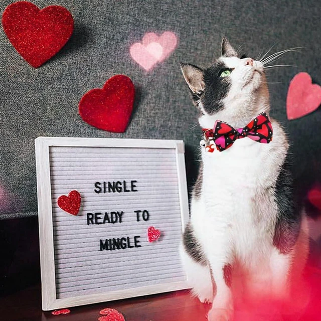 Alt view image 4 of 7 - Valentine's Day Cat Collar with Bow Tie Bell & Charms BreakawayBack Heart and Pink Flowers for Male and Female Cats, Adjustable Holiday Kitten Collar for Boys & Girls