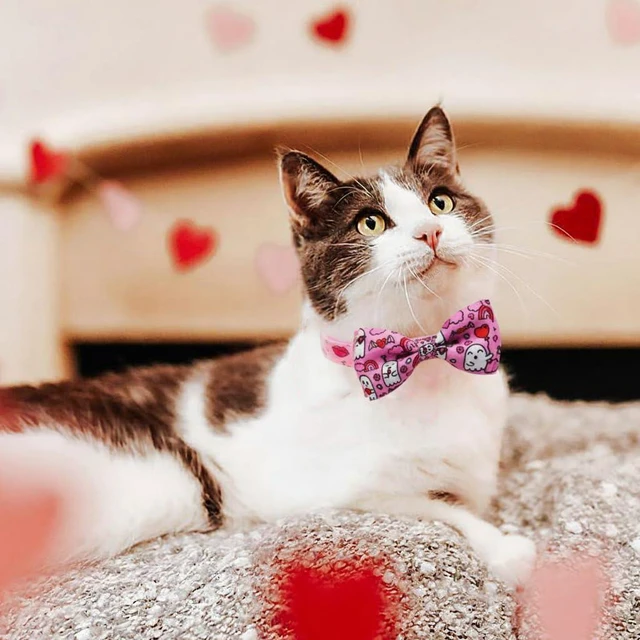 Alt view image 6 of 7 - Valentine's Day Cat Collar with Bow Tie Bell & Charms BreakawayBack Heart and Pink Flowers for Male and Female Cats, Adjustable Holiday Kitten Collar for Boys & Girls