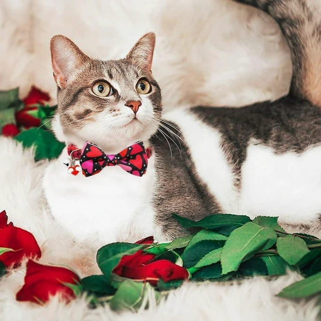 Alt view image 5 of 7 - Valentine's Day Cat Collar with Bow Tie Bell & Charms BreakawayBack Heart and Pink Flowers for Male and Female Cats, Adjustable Holiday Kitten Collar for Boys & Girls