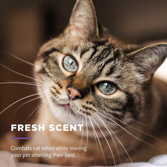 Alt view image 5 of 7 - for Cats Freshening Wipes with Aloe Vera, Fresh Scent, 50 Count | Multi-purpose grooming wipes remove dirt, odor, and dander between baths, gentle for regular use on cats