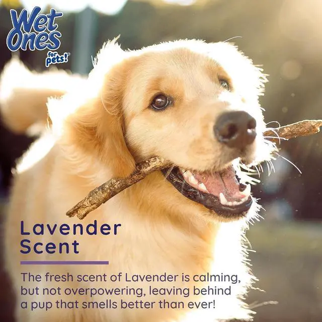 Alt view image 4 of 7 - for Pets Calming Dog Wipes, Chamomile Lavender Scent, 30 Count | Antibacterial formula, kills 99.99% of germs, calm, scented, durable paw wipes