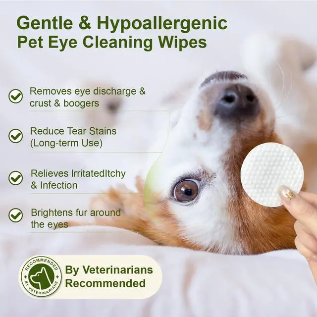 Alt view image 2 of 7 - Eyes Wipes for Dogs & Cats - Gently Remove Tear Stain, Debris, Discharge, Crust - Chamomile and Honeysuckle Pet Cleaning Grooming Deodorizing Wipes Wash Cleaner for Eyes, Wrinkle, Face - 100pcs