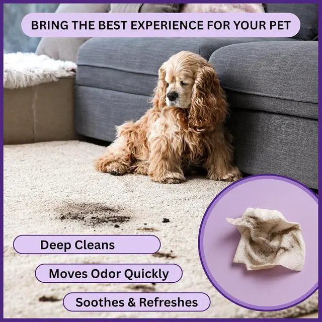 Alt view image 4 of 7 - Wipes 100% Natural, Plant-Based Hypoallergenic Grooming Wipes for Dogs & Cats Extra-Durable, Large & Thick for Effortless Cleaning (Lavender, 100 Count)