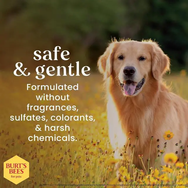 Alt view image 2 of 7 - Burt's Bees for Pets Honey Multipurpose Dog Grooming Wipes, Gentle Hypoallergenic Spot Cleaning Sheets, pH Balanced Natural Origin Formula for Paws, Face and Butt, 50 Count | Honey formula, hypoallerg