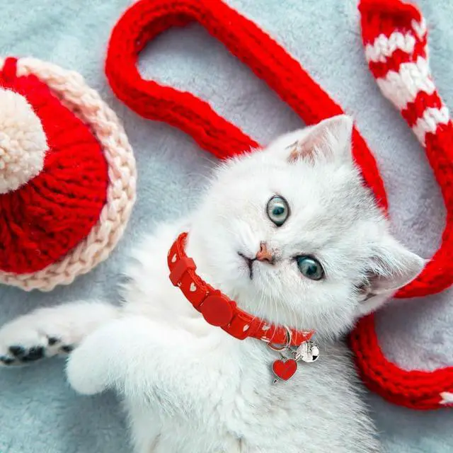Alt view image 7 of 7 - Valentine's Day Cat Collar Set, 4 Pack Pink Heart Pattern Collars with Cute Charms and Bells for Boys Girls Kitties Kittens