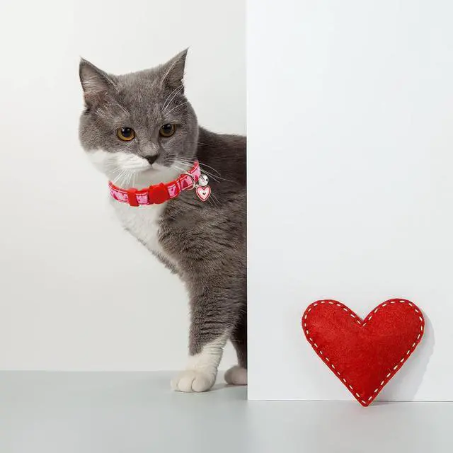 Alt view image 5 of 7 - Valentine's Day Cat Collar Set, 4 Pack Pink Heart Pattern Collars with Cute Charms and Bells for Boys Girls Kitties Kittens
