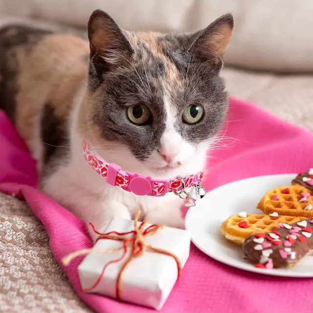 Alt view image 6 of 7 - Valentine's Day Cat Collar Set, 4 Pack Pink Heart Pattern Collars with Cute Charms and Bells for Boys Girls Kitties Kittens