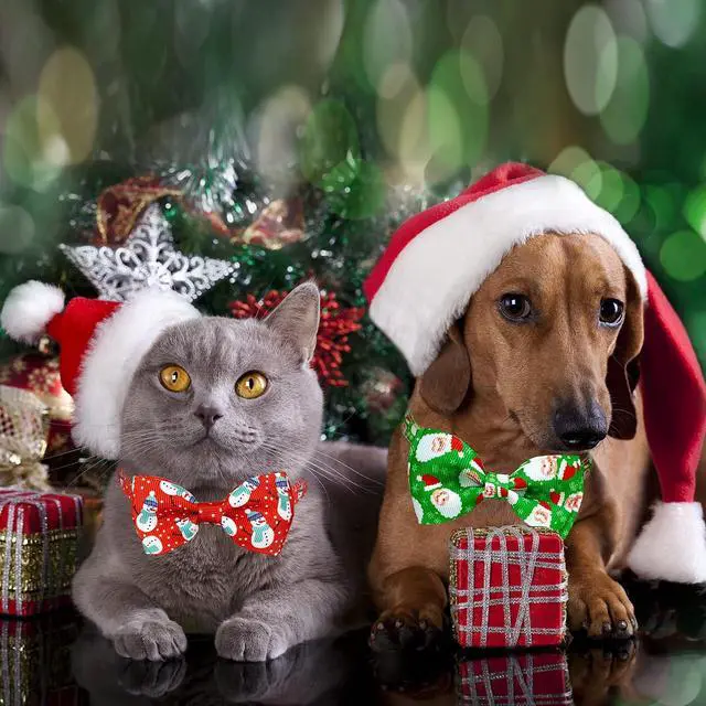 Alt view image 7 of 7 - Christmas Cat Bow Tie Collar with Bell, 2 Pack Holiday Kitty Kitten Santa and Snowman Collar for Male Female Girls Boys