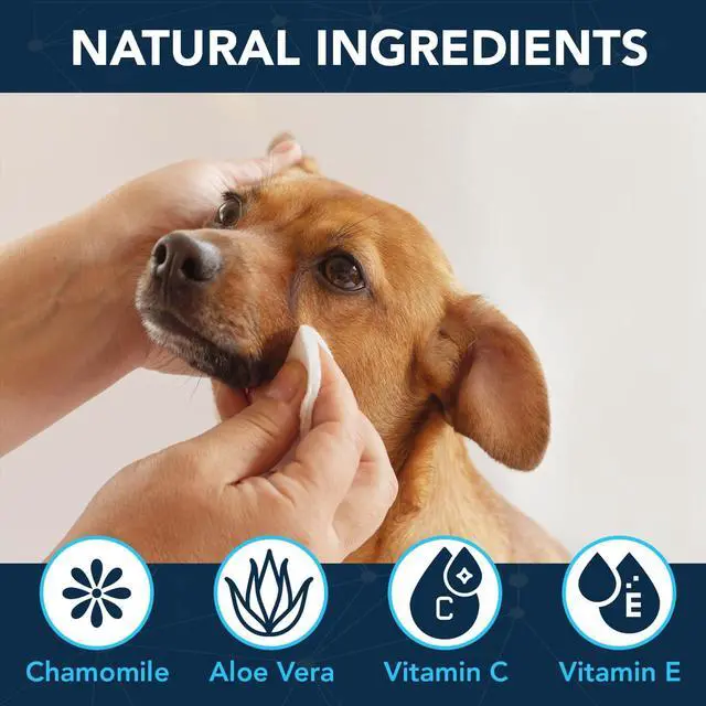 Alt view image 4 of 7 - 100PCs Dog Eye Wipes - Tear Stain Remover for Dogs - Formulated with Chamomile and Aloe to Remove Eye Debris, Tear Stains & Eye Discharge - Plant Based, Safe, and Large 5"x5" Unscented Wipes