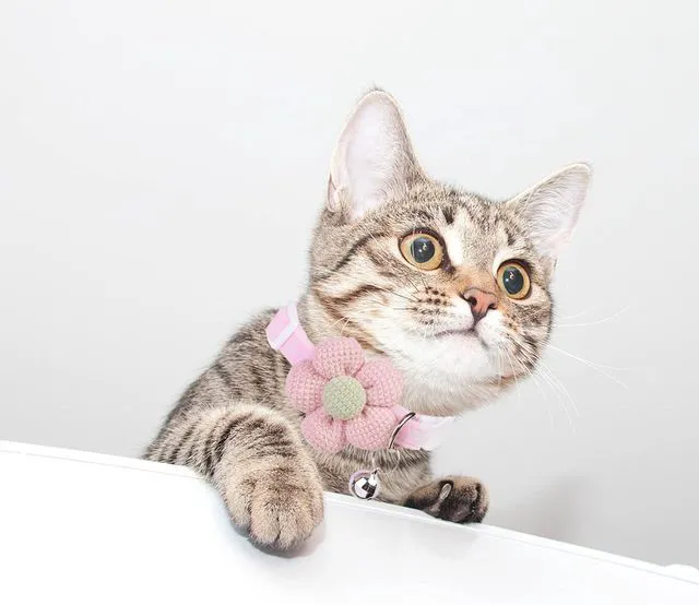 Alt view image 6 of 7 - Breakaway Cat Collars with Bells, Kitten Collar for Girl Boy Adjustable Safety Kitty Collars for Cats Puppy and Small Pets (Pink)