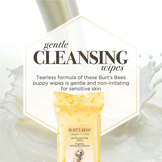 Alt view image 3 of 7 - Burts Bees for Pets Gentle Cleansing Puppy Wipes, Buttermilk, 50 Count | Buttermilk formula, hypoallergenic, 98% natural origin, gentle cleansing and conditioning